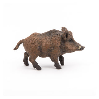 WILD BOAR