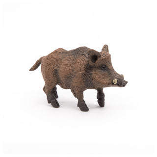 WILD BOAR