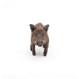 WILD BOAR