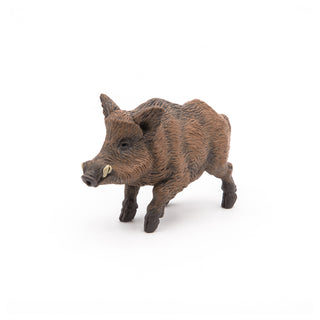 WILD BOAR