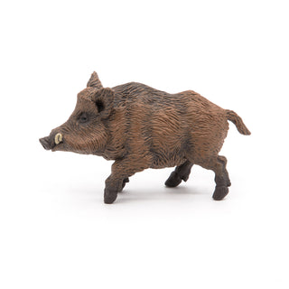 WILD BOAR