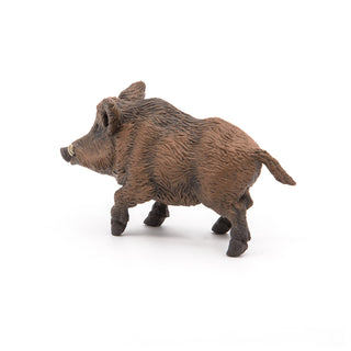 WILD BOAR