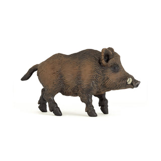 WILD BOAR
