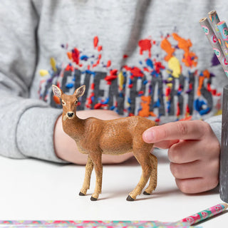 DOE