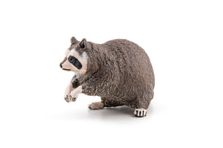 RACCOON
