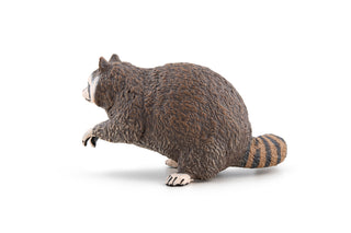 RACCOON