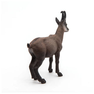CHAMOIS