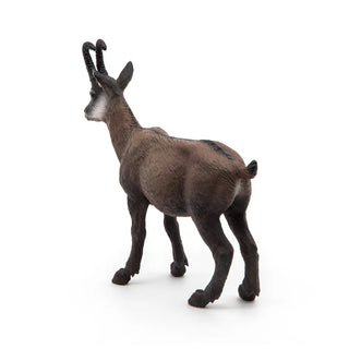 CHAMOIS