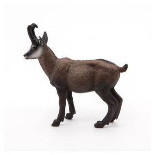 CHAMOIS