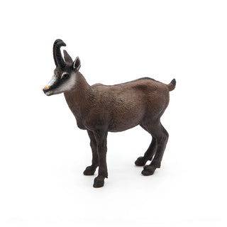 CHAMOIS