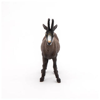 CHAMOIS
