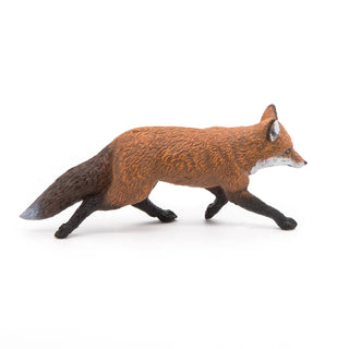 FOX