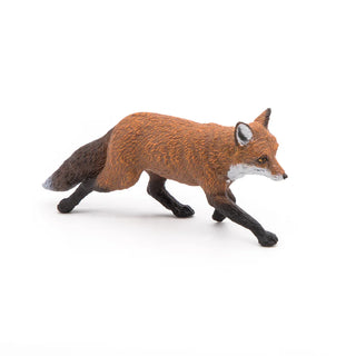 FOX