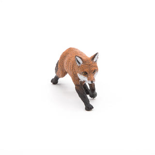FOX