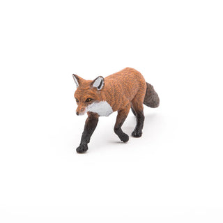 FOX