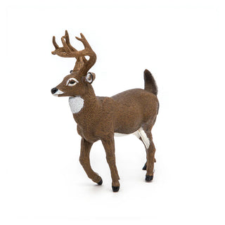 WHITE-TAILED DEER