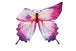 OMBRE BUTTERFLY