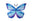 MYTHICAL BUTTERFLY