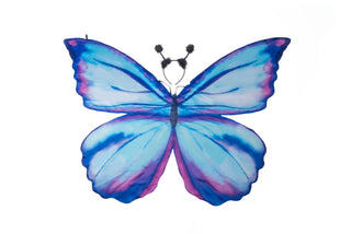 SOFT WINGS