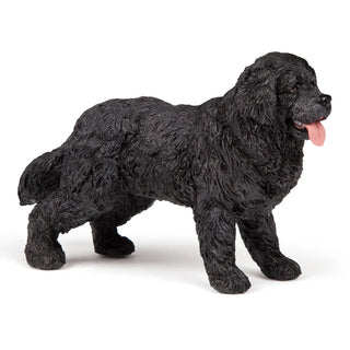 NEWFOUNDLAND TERRIER