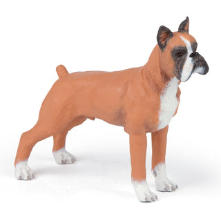 BOXER