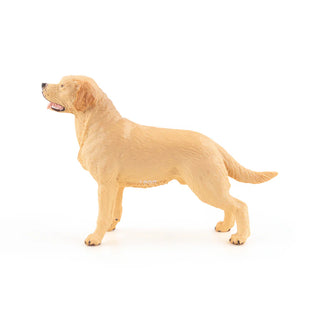 LABRADOR