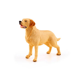 LABRADOR