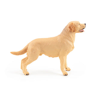 LABRADOR