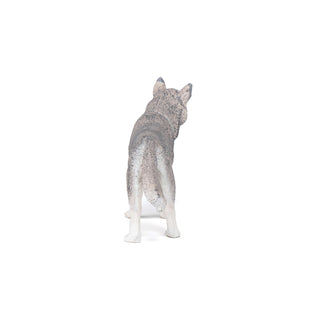 SIBERIAN HUSKY