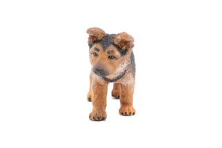 BABY GERMAN SHEPHERD