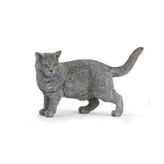 CHARTREUX CAT