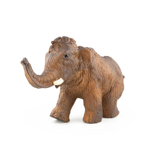 YOUNG MAMMOTH