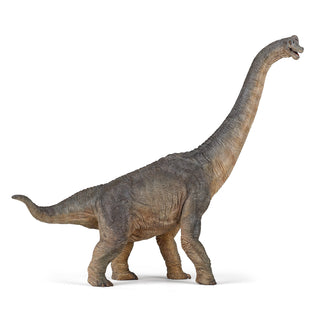 BRACHIOSAURUS