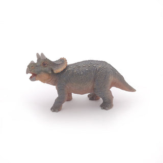 YOUNG TRICERATOPS