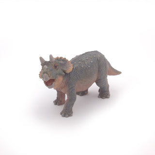 YOUNG TRICERATOPS
