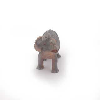 YOUNG TRICERATOPS