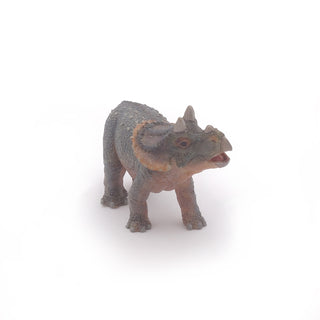 YOUNG TRICERATOPS