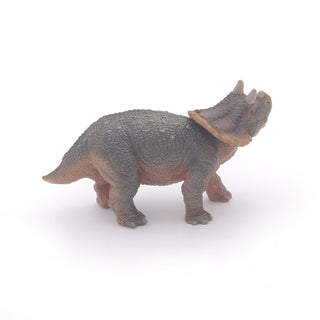 YOUNG TRICERATOPS