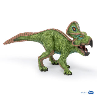 PROTOCERATOPS