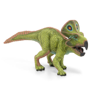 PROTOCERATOPS