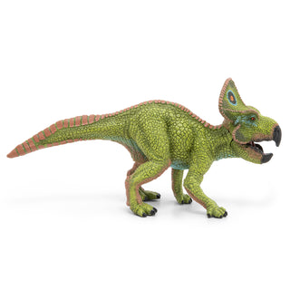 PROTOCERATOPS