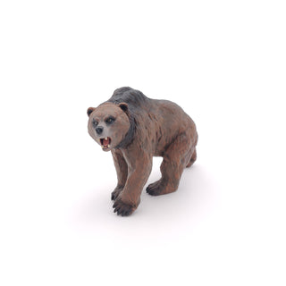 CAVE BEAR