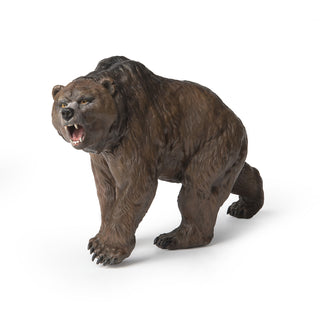 CAVE BEAR