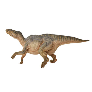 IGUANODON