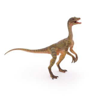 COMPSOGNATHUS