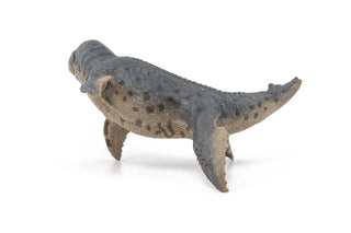 KRONOSAURUS