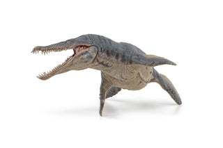 KRONOSAURUS