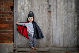 REVERSIBLE SPIDER/BAT CAPE