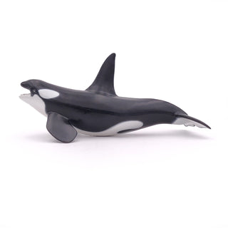 KILLER WHALE