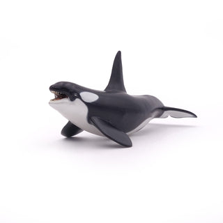 KILLER WHALE